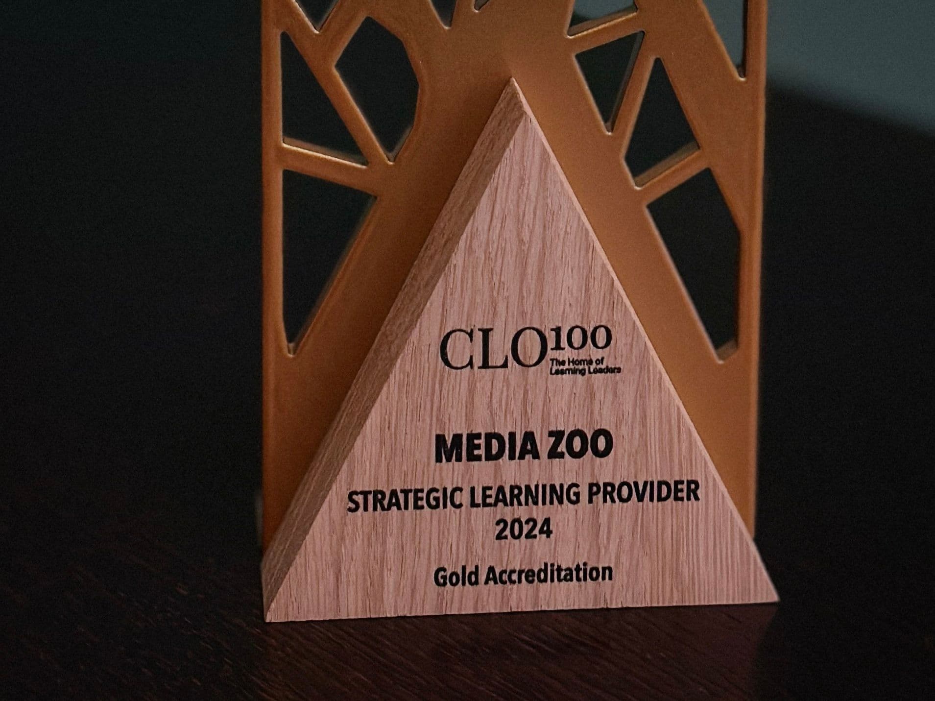 We Achieved Gold Strategic Provider Accreditation by CLO100