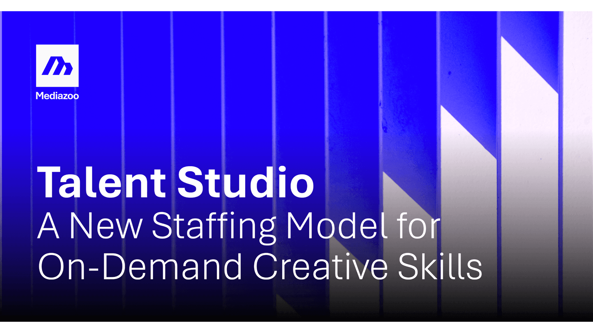 Mediazoo Unveils Talent Studio